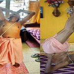 126 साल की उम्र में पद्मश्री अवार्ड, जानें शिवानंद बाबा खुद को कैसे रखते हैं फिट