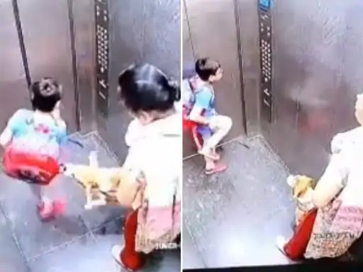 गाजियाबाद में लिफ्ट में बच्चे को कुत्ते ने काटा: दर्द से कराहता रहा बच्चा, चुपचाप खड़ी रही महिला